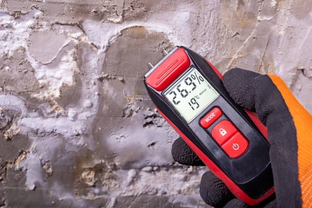 Best Crawl Space Mold Removal  in St Bonaventure, NY