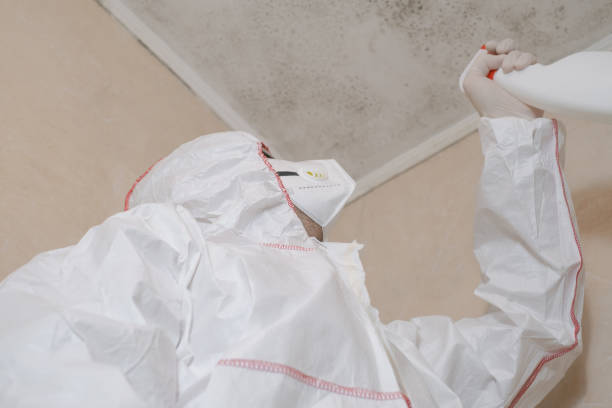 Best Residential Mold Removal  in St Bonaventure, NY